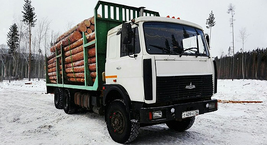МАЗ-6303 (лесовоз)